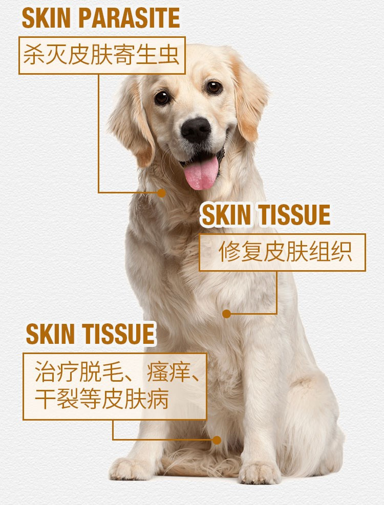 虱 Mèo và chó đến bọ chét ngoài bọ cạp ký sinh trùng chó ký sinh trùng trong ống nghiệm - Cat / Dog Medical Supplies giá máy siêu âm chó mèo