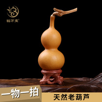 Fine natural text to play with hand-twisted gourd Tianjin mouth old gourd small babao gourd one thing and one picture to play with