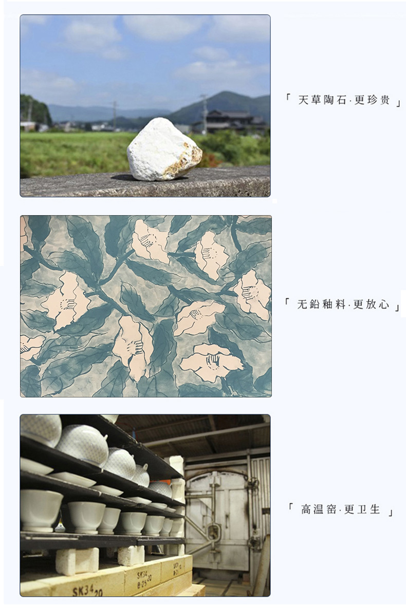 The fawn field'm ceramic tableware imported from Japan Japanese lovely dolphins dishes Japanese big rainbow such as use of household food dish