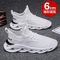 Mens shoes summer 2022 new trend mesh shoes breathable sports leisure students little white daddy tide shoes