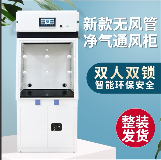 Laboratory Net Gas Type Ventilation Cabinet Decontamination Ventilated Safety Cabinet Ventilation Closet No Piping Adsorption Filtration Exhaust Cabinet-Taobao