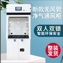 Laboratory net gas fume hood Purification ventilation safety cabinet Fume hood Pipe-free adsorption filtration Exhaust cabinet