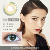 Оливковый зеленый коричневый (новый красочный усыновитель)