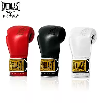 EVERLAST CLASSIC TRAINING 1910 CLASSIC Legends TRAINING Practical Boxing Gloves