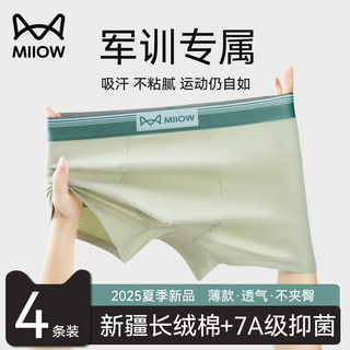 Catman Men's Underwear Boys' Pure Cotton 2025 New Breathable Teen High School Student Military Training Exclusive Shorts