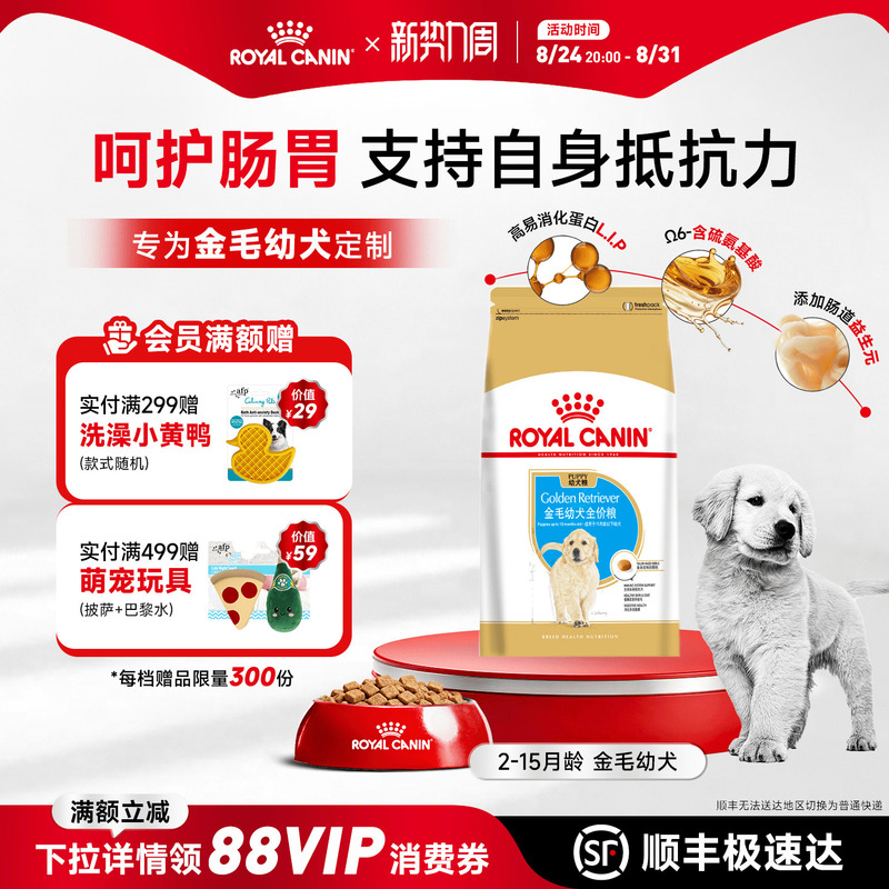 Royal Canin Golden Retriever Puppy Food 12kg Adult Dog Food for Medium and Large Breeds, Complete Specialized Food for Labrador Royal Canin Golden Retriever Puppy Food 12kg Adult Dog Food for Medium and Large Breeds, Complete Specialized Food for Labrador