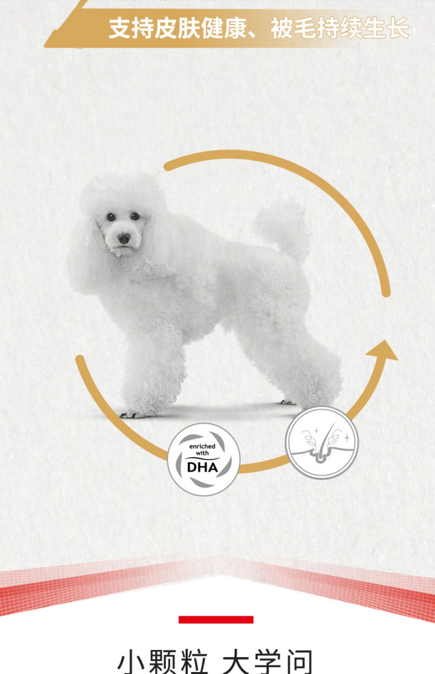 Thức ăn cho chó Teddy chó trưởng thành Royal Canin Royal VIP thức ăn cho chó trưởng thành PD30 / 3KG làm đẹp lông xé - Chó Staples pate cho chó con