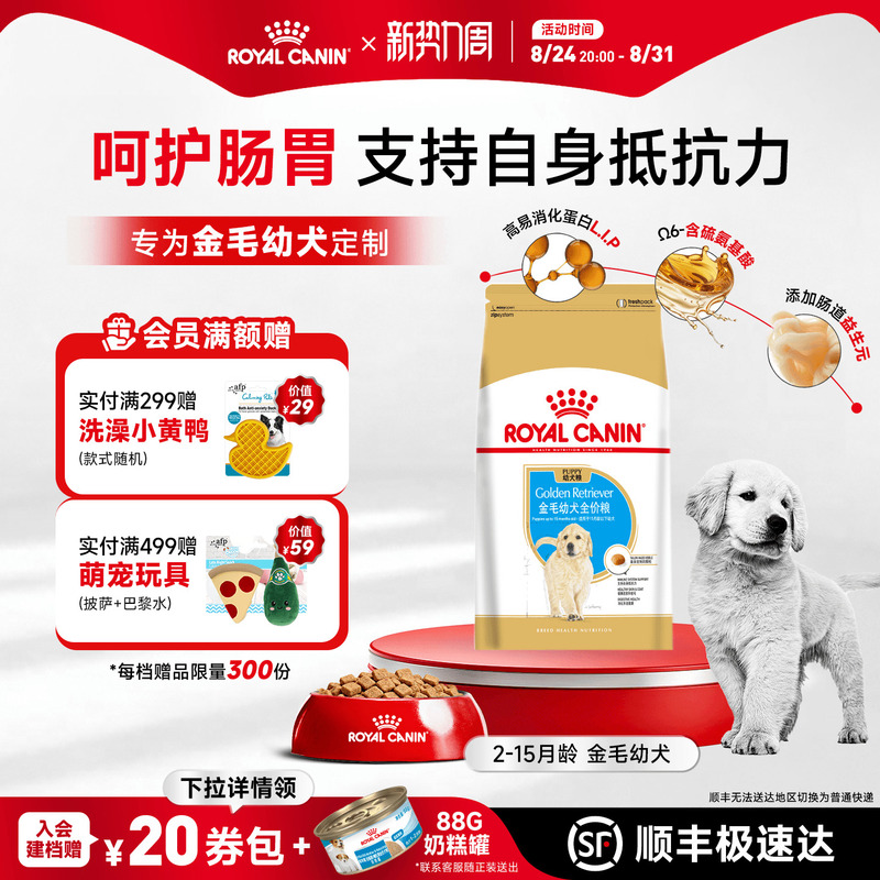 Royal Canin Golden Retriever Puppy Food 12kg Adult Dog Food for Medium and Large Breeds, Complete Specialized Food for Labrador
