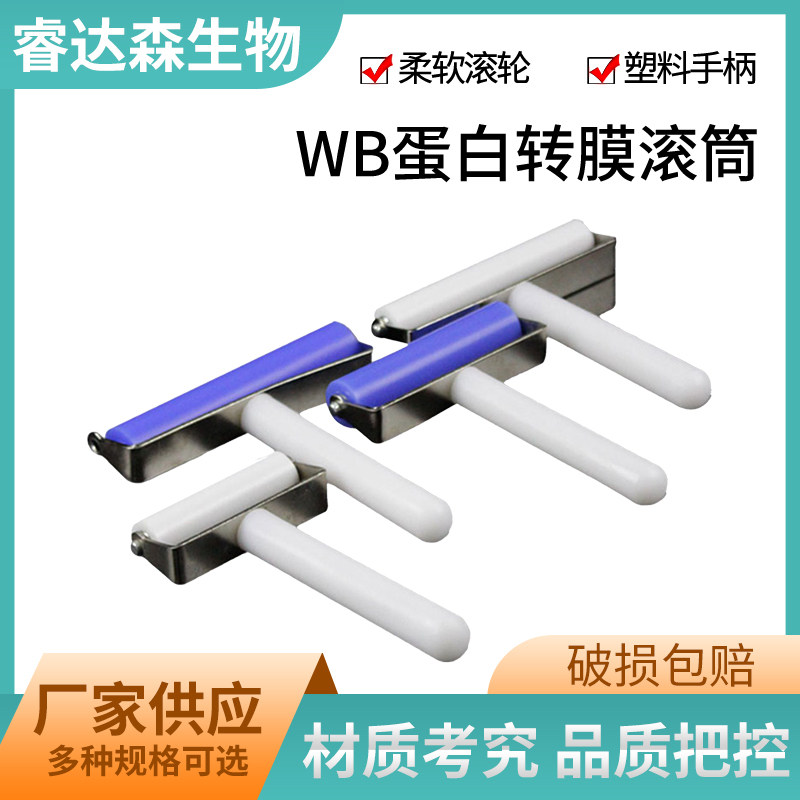 国产伯乐Western Blot转膜滚筒WB滚轮蛋白转膜贴膜赶气泡硅胶滚子