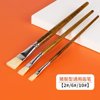 Общий трехконтактный пакет из щетины [6/6/10]