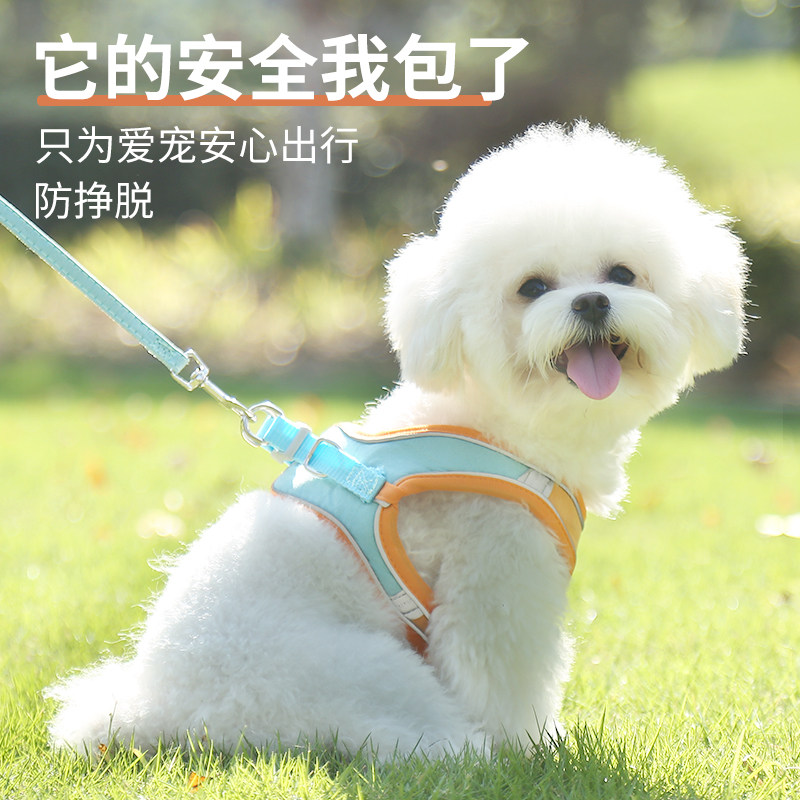 Dog Traction Rope Walking Dog Rope Vest Style Out Kitty Traction Rope Anti-Off Teddy Pet Small And Medium Dog Specials