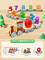 Магнитный поезд, жираф