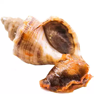 Whale spicy sea conch meat 120g meal replacement seafood cooked food open bag spicy instant fragrance mud snail Net red snacks Snacks