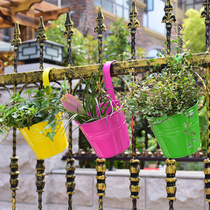 Creative balcony iron flower pot pastoral hanging bucket hanging pot multi-meat potted plant flower device hanging flower bucket hanging orchid pot