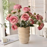 Иностранное пиони -симуляция цветочный цветок высокий клад