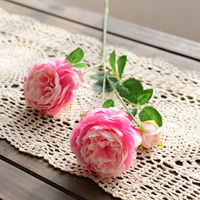 Красная роза