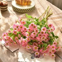 5 розовая установка