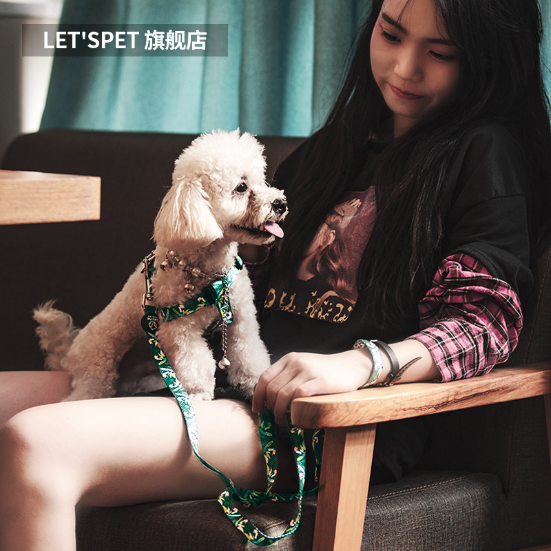 Teddy Dogs Traction Rope Bib Puppies Puppies Small Dogs Puppies Walking Dog Ropes Pet Dog Rope Chains