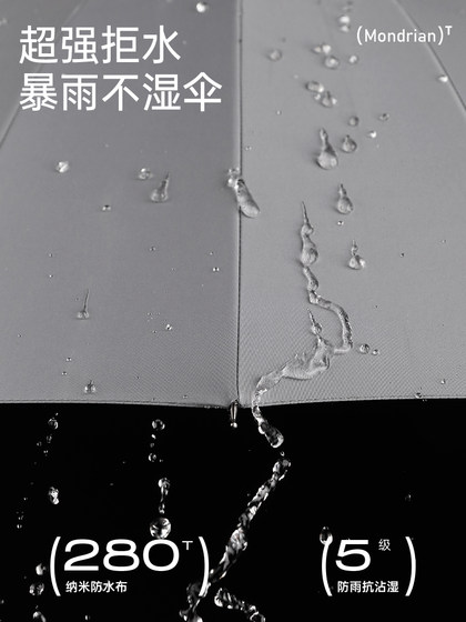 太麻里自动长柄伞双人学生大号加固加厚结实抗风暴超大家用雨伞
