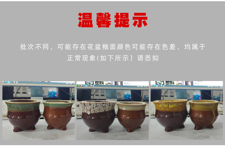 Fleshy thumb flowerpot European - style mini exquisite small creative manual lovely floral outraged meat meat control type ceramic flowers