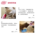 Bemy cộng với kem dinh dưỡng chó teddy Golden retriever puppy điều hòa tiêu hóa tăng cường miễn dịch miễn dịch mèo tăng cân dinh dưỡng - Cat / Dog Health bổ sung