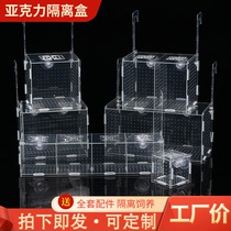 Fish tank isolation box acrylic transparent guppy hatching box mini parrot fish breeding box fry separation box