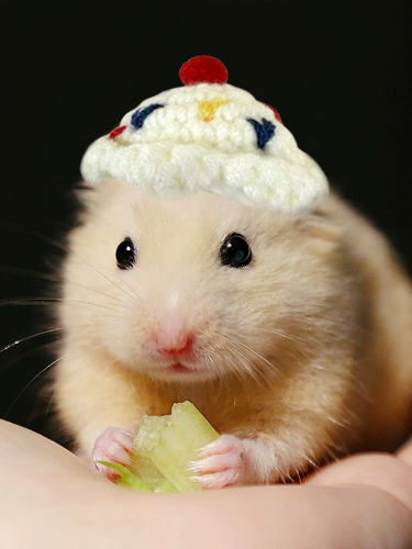 Хомять Новый год Золотая шелковая медведь цветочная ветка цветочная ветвь крыса.