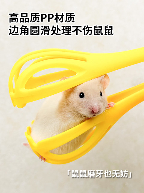 Hamster Trap Mouse Trap Mouse Trap ຂະຫນາດນ້ອຍ Hamster Golden Bear Life Interactive Toy Supplies Landscaping Mousetrap