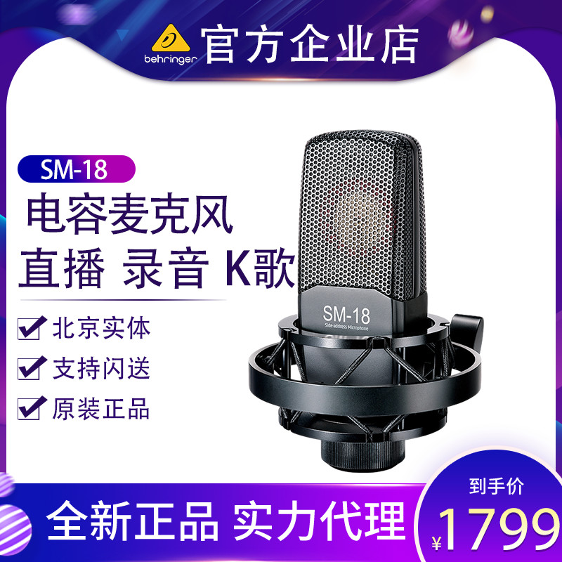 DSM - 18 capacitor microphone Cell phone sound card set Universal professional audio - recording studio grade large vibration film