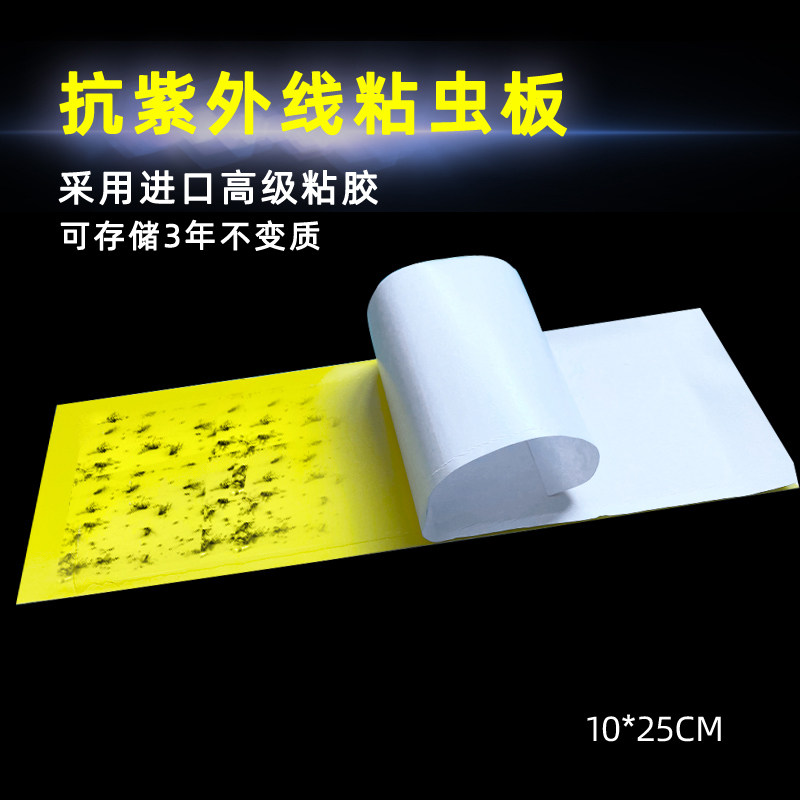 10 pieces of sticky fly paper sticky catch fly lamp with sticky paper sticky insect board fly paper mosquito fly cardboard sticky good
