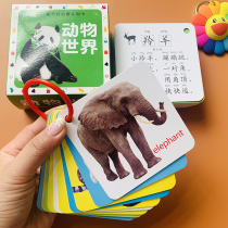 Punch Tear No Bad Animal Cards Early Childhood Child Animal Cognition Baby Animal Picture Card Look Tuology Animal Song Card