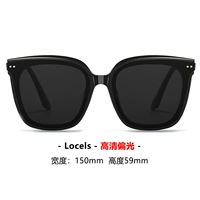 Locel-2013 Новый стиль [Поляризация обновления]