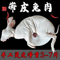 Hot skin rabbit meat fresh with skin rabbit meat whole free-range rabbit meat fresh vacuum Frozen live rabbit now kill 3-7kg