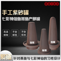 Colorful fairy fish swallow fish swallow fish fairy fish egg-laying breeding tank manual purple sand fish egg-laying breeding incubator