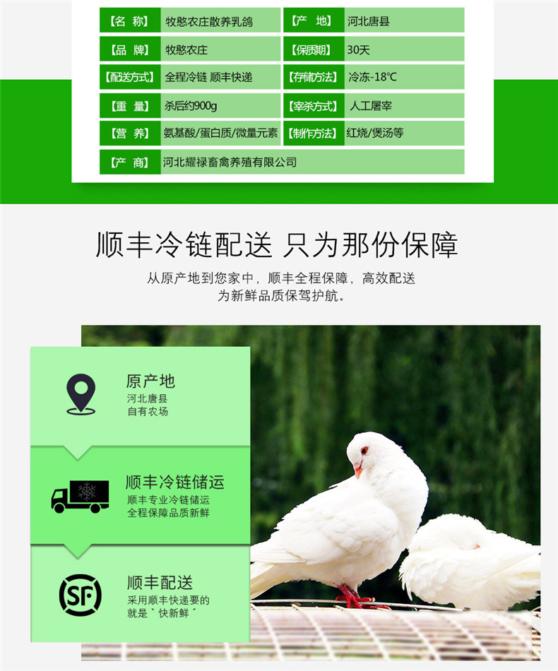 牧憨农庄 新鲜乳鸽农家散养鸽子 3只1000g 图3