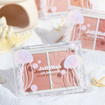 Knock Fine ~ Color School Cute Seafronor Garden Bicolor Blush Nude Makeup Natural Fine Flash Parity Students