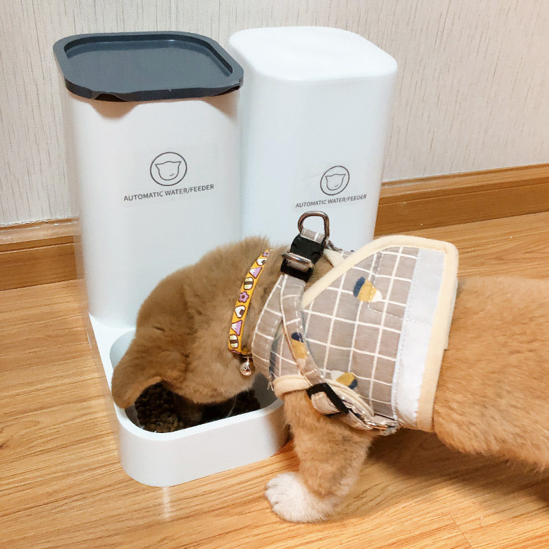 Lake Canny Pets Feeding the Divine Instrumental Feeding Machine Water Dispenser Water Dispenser Dogs Cat Kitty Automatic Feeders Automatic Feeder
