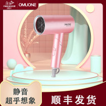 Omulone Omoni hair dryer household silent negative ion hair care strong wind speed dry anti-frizz electric blower