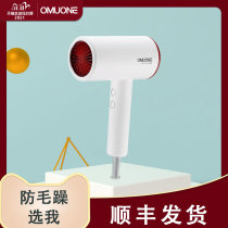 OMUONE omuni negative ion hair care hair dryer household electric blower high power does not hurt hair prevention