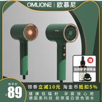 OMUONE German electric hair dryer household high-power negative ion hair care low radiation wind pipe dormitory students Small