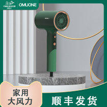 Omulone Omoni hair dryer household large wind negative ion hair care high power quick dry without injury wind blower