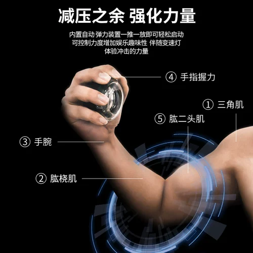 Ruisu Self -Smofbled Metal Force Force Ball Heavy Mute Power Train Train Trast -wrist Gyroscopy Grip Force 100 кг мужчин