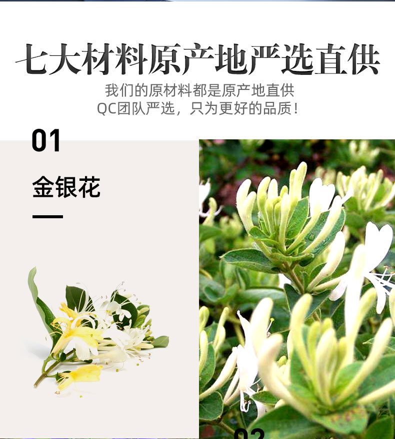 【3盒】仁和金银花桔梗桑叶茶