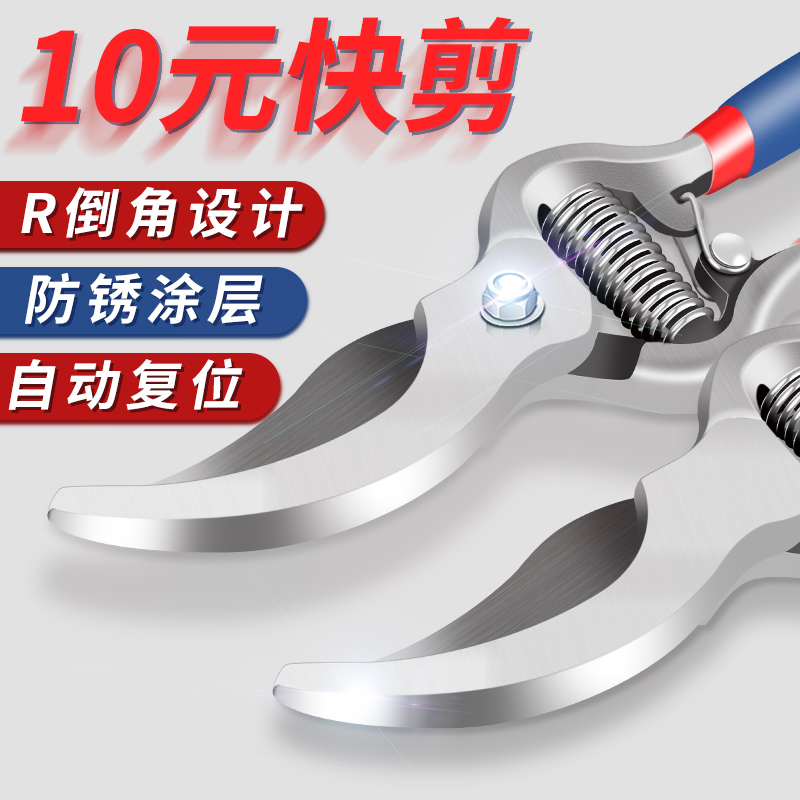 Tree pruning, flower trimming, flower trimming, flower trimming, grapefruit, tree trimming, garden trimming, scissors, household use