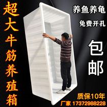 Thickened Bull Fascia Plastic Water Tank Big aquiculture Fish fish tank Rectangular Bull Gluten Box Foam tile Turtle Shallow Basin