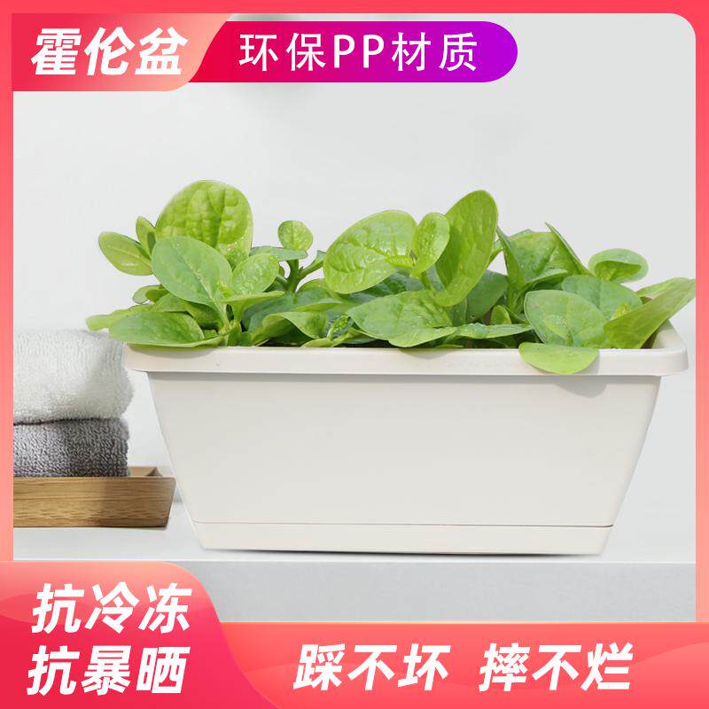Balcony vegetable pot vegetable artifact succulent flower pot plastic size rectangular clearance factory direct sales vegetable box