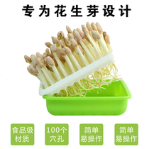 Peanut Bud germination artifact peanut seedling fresh peanut bud hydroponic box hydroponic box nursery tray planting pot planting tray