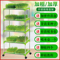 Sprout vegetable nursery plate bean sprouts planting plate wheat grass seeds soilless cultivation vegetable pot tray household artifact