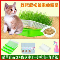 Catgrass hydroponic seeds Catnip Kitten snacks Wheat grass cat grass pot soil culture hydroponic planting pot cat grass seed seed