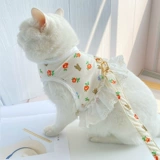 Японские и корейские ветряные кошки ведут защиту типа веревочного жилета, чтобы вырваться из выделенных регулируемых кошек, кошачья веревка для любимой собаки